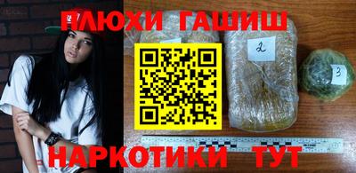 СК Новокубанск