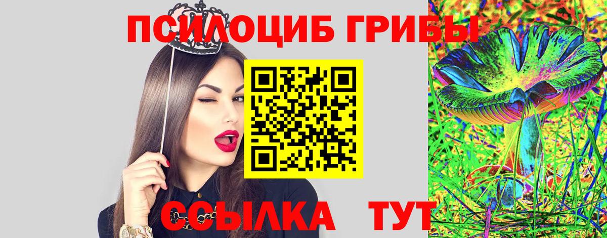 Псилоцибиновые грибы GOLDEN TEACHER Пенза