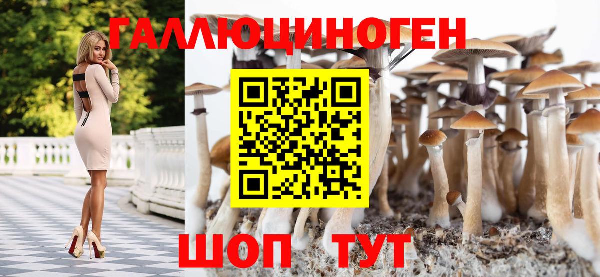 Псилоцибиновые грибы Psilocybine cubensis  Вход с VPN  наркошоп  Пенза  Галлюциногенные грибы прущие грибы 
